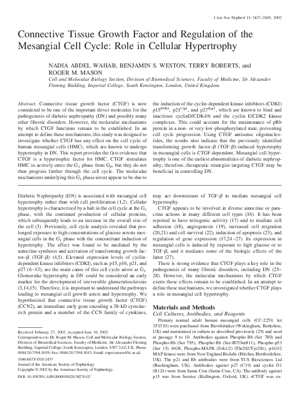 (PDF) Connective Tissue Growth Factor and Regulation of the Mesangial ...