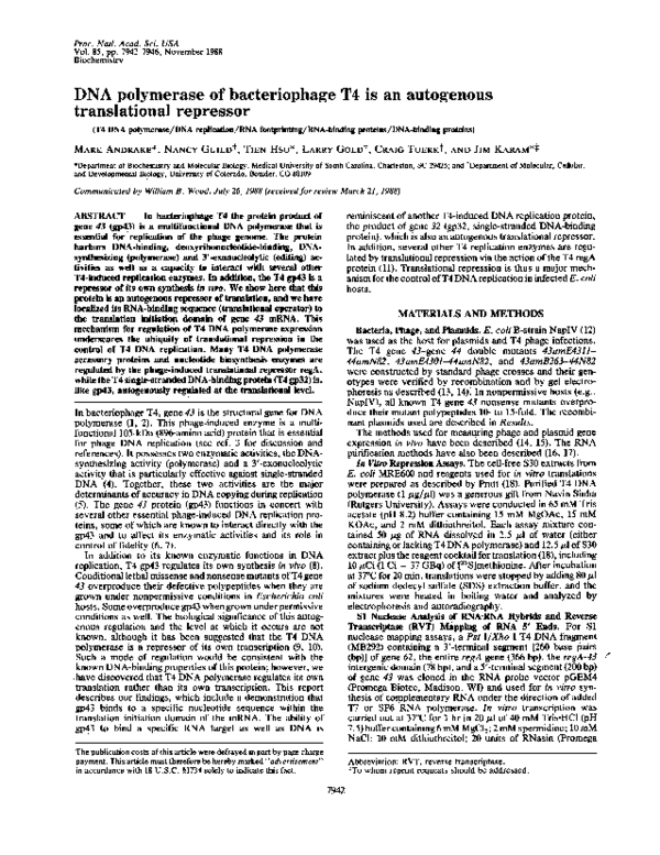 (PDF) DNA polymerase of bacteriophage T4 is an autogenous translational ...