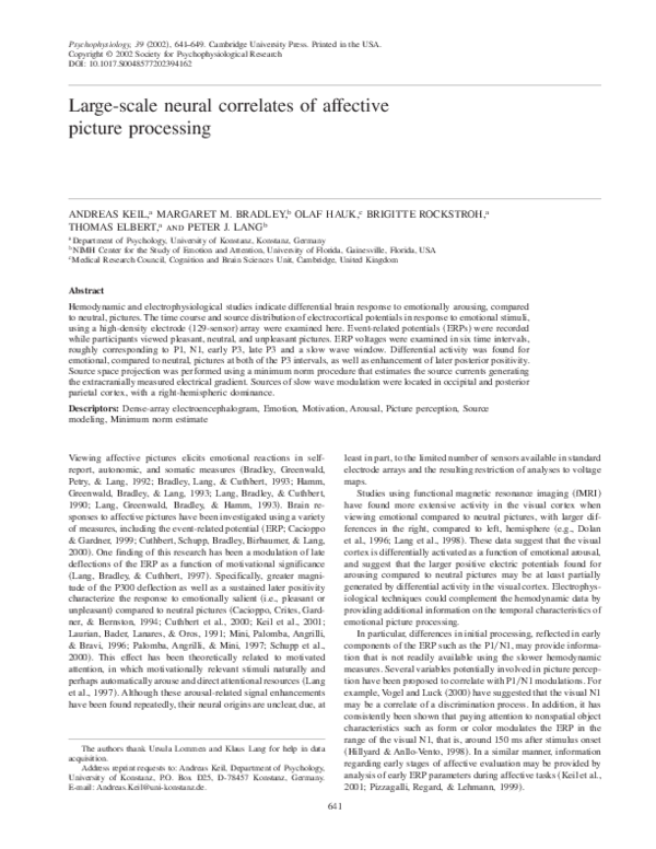 (PDF) Large-scale neural correlates of affective picture processing