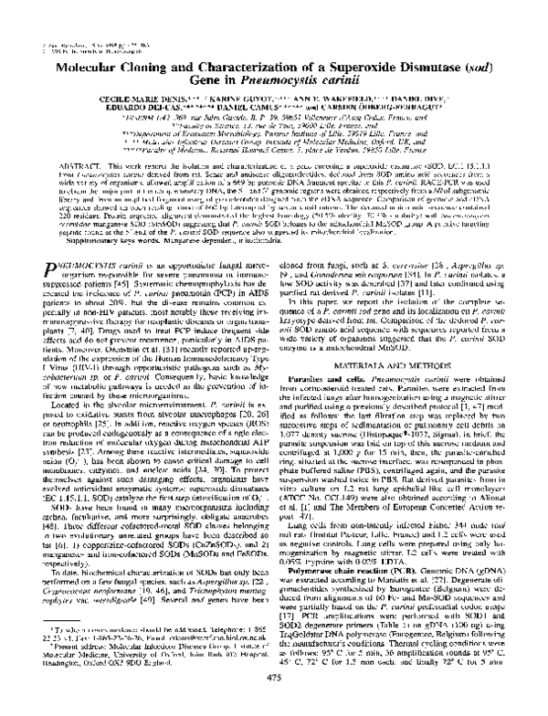 (PDF) Molecular Cloning and Characterization of a Superoxide Dismutase ...