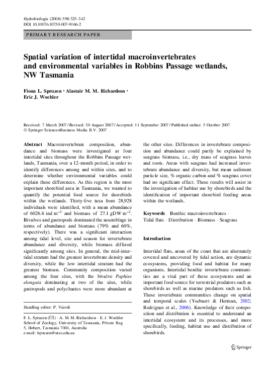 Intertidal wetlands essay 07 image