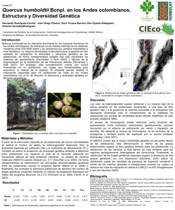 (PDF) Quercus humboldtii Bonpl. en los Andes colombianos, estructura y ...
