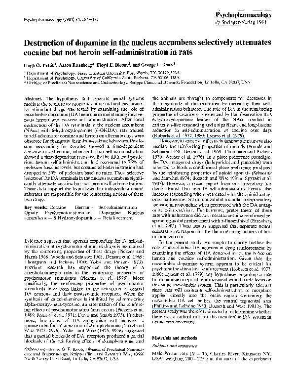 (PDF) Cocaine and heroin (‘speedball’) selfadministration the