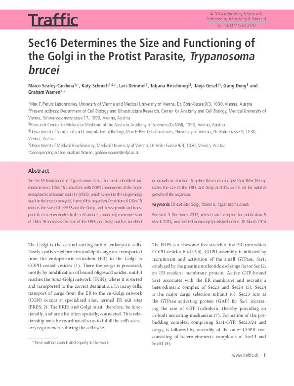 (PDF) Sec16 Determines the Size and Functioning of the Golgi in the ...