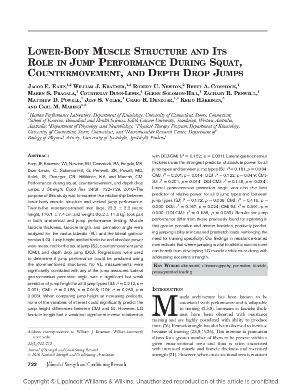 (PDF) Lower-Body Muscle Structure and Its Role in Jump Performance ...