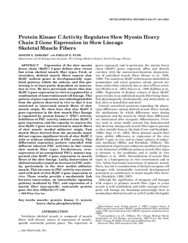 Phillip lopate joseph mclellan essay 07 image