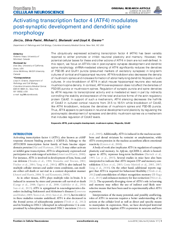 (PDF) Activating transcription factor 4 (ATF4) modulates post-synaptic ...