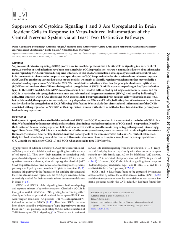 (PDF) Suppressors of cytokine signaling 1 and 3 are upregulated in ...