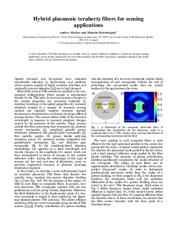 (PDF) Hybrid plasmonic terahertz fibers for sensing applications