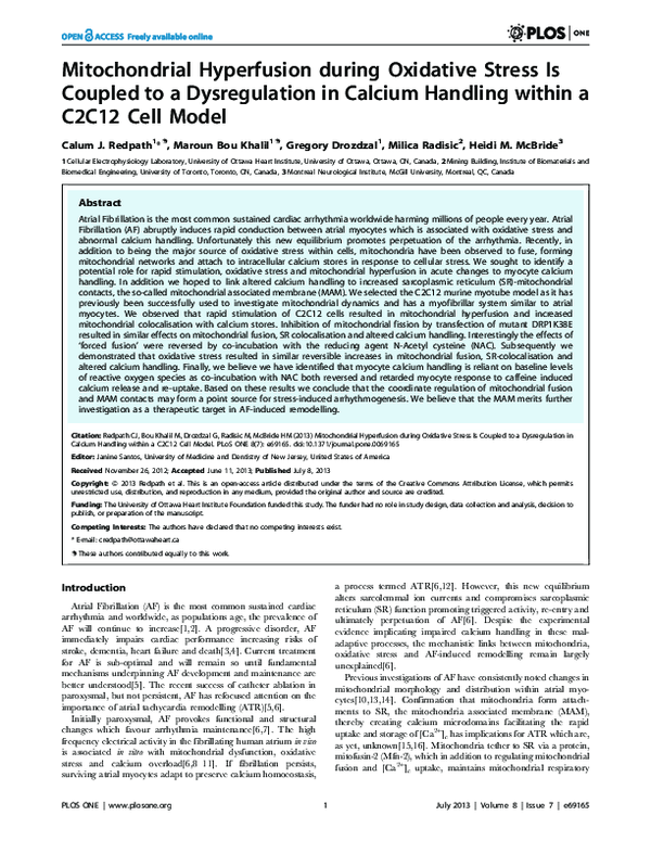 (PDF) Mitochondrial Hyperfusion during Oxidative Stress Is Coupled to a ...