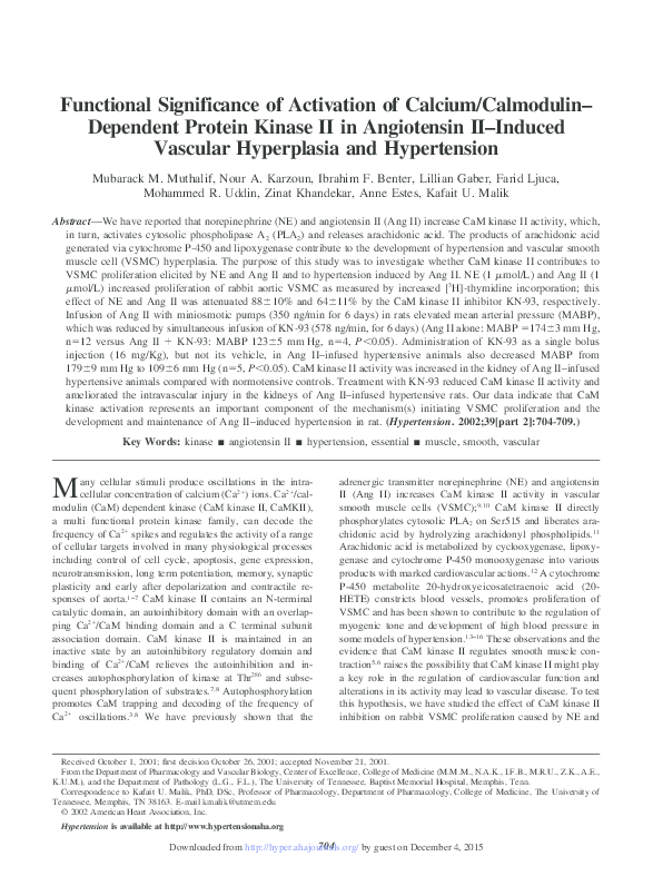 Thesis on calmodulin 02 image
