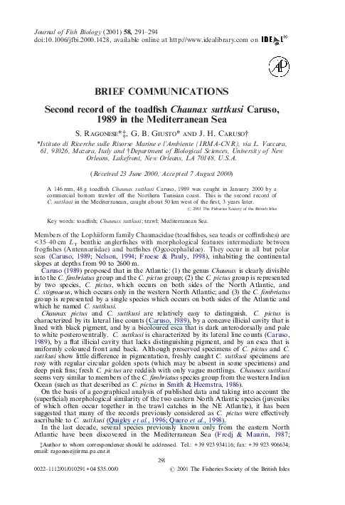 (PDF) Second record of the toadfish Chaunax suttkusi Caruso, 1989 in ...