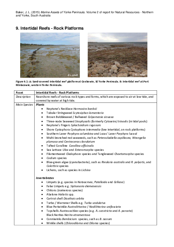 (PDF) Chapter 9. Intertidal Reefs - Rock Platforms. In: Baker, J.L ...