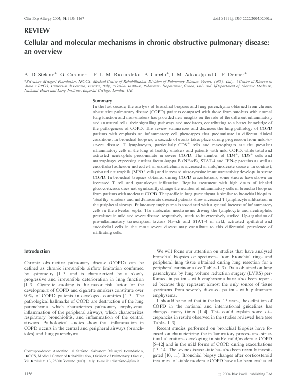(PDF) Cellular and molecular mechanisms in chronic obstructive ...