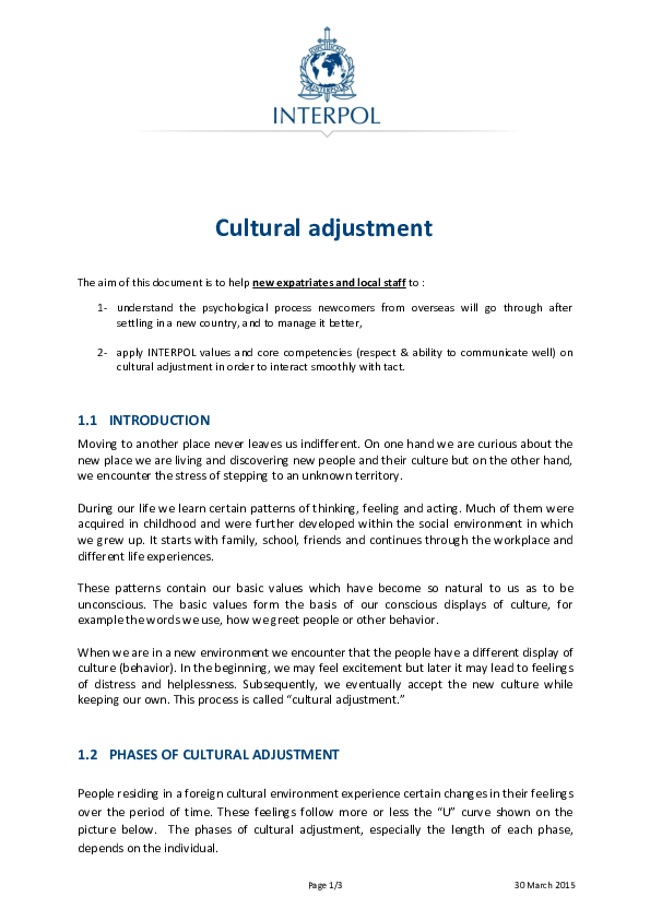 Cross cultural adjustment image