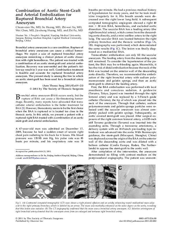 (PDF) Combination of aortic stent graft and arterial embolization for ...