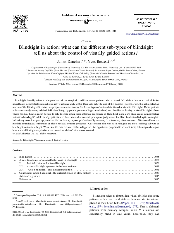 (PDF) Blindsight in action what can the different subtypes of