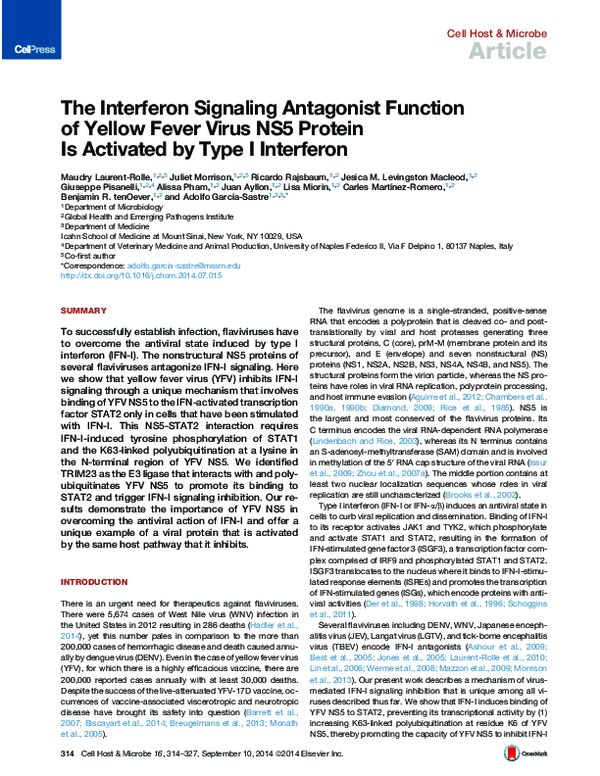 (PDF) The Interferon Signaling Antagonist Function of Yellow Fever ...