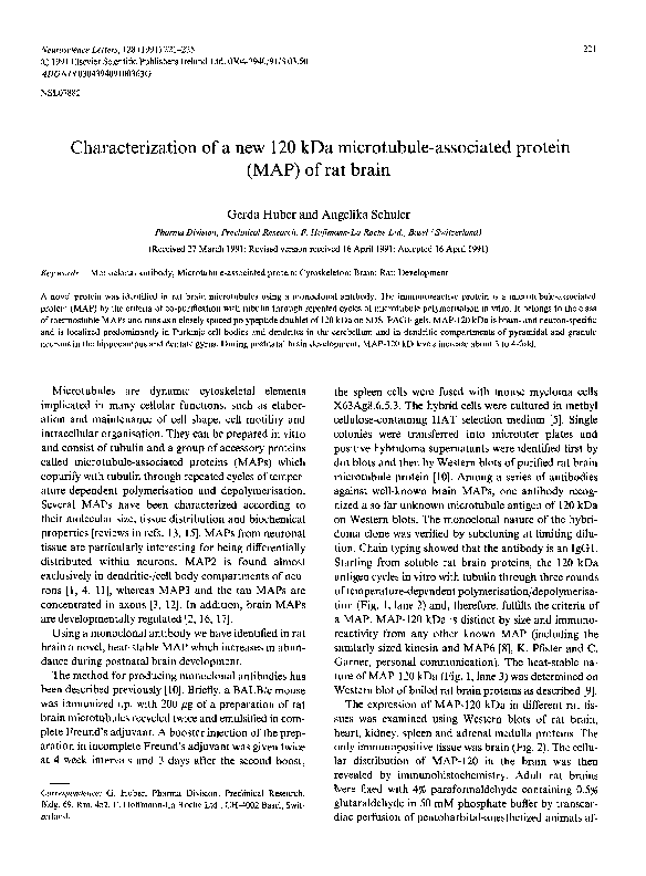 (PDF) Characterization of a new 120 kDa microtubule-associated protein ...