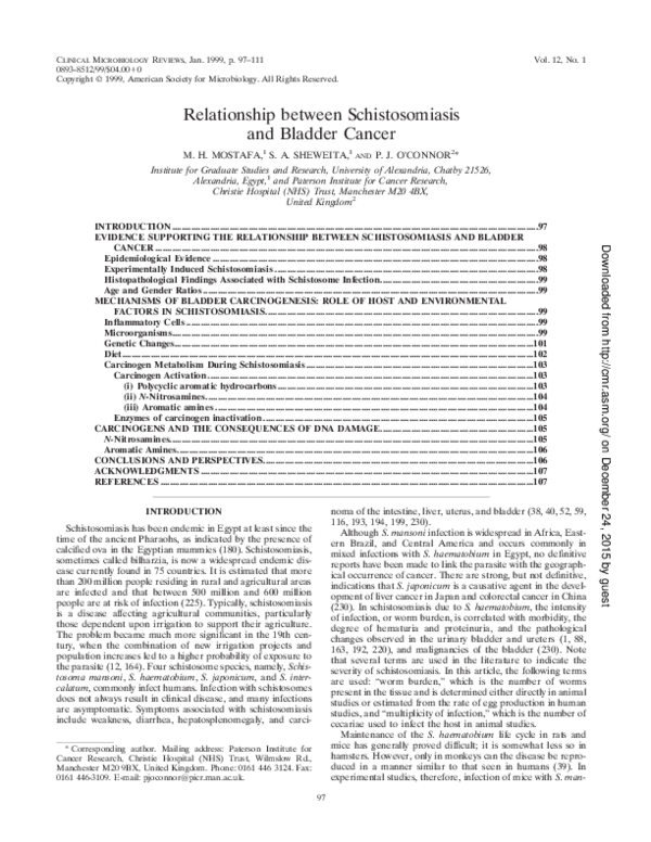 Schistosomiasis thesis 04 image