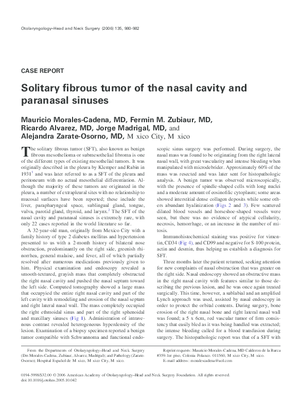 Nasal cavity essay 08 picture