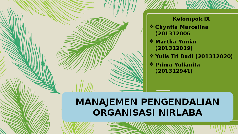 Ppt Tugas Kelompok Spm Organisasi Nirlaba Natalia Yulis Academia Edu