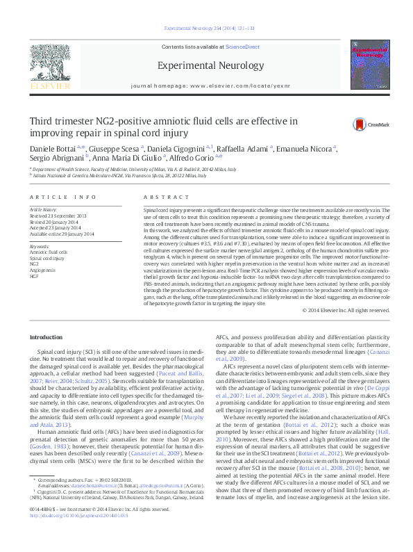(PDF) Third trimester NG2-positive amniotic fluid cells are effective ...