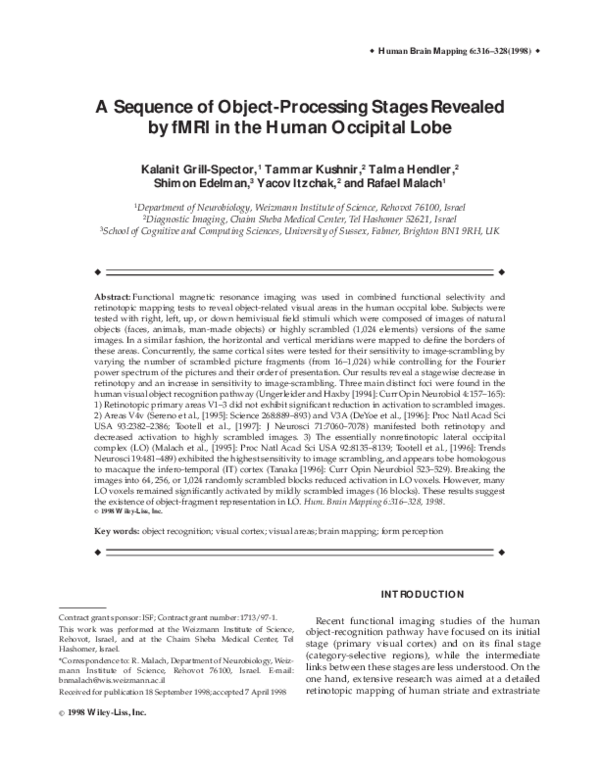 (PDF) A sequence of object‐processing stages revealed by fMRI in the ...