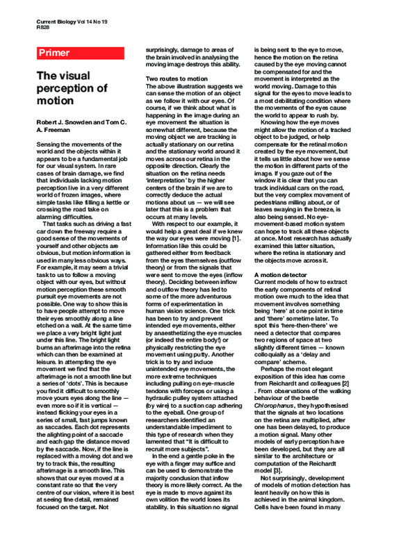 (PDF) The visual perception of motion