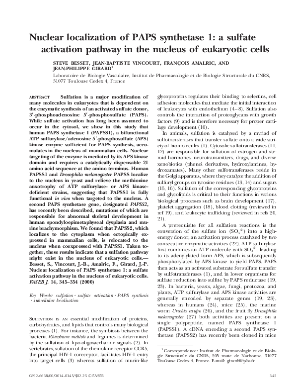 (PDF) Nuclear localization of PAPS synthetase 1: A sulfate activation ...