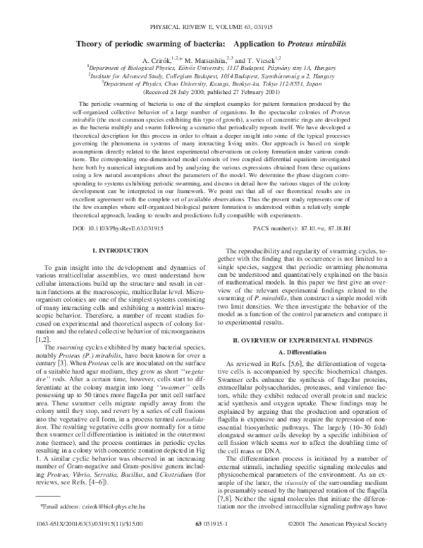 Proteus mirabilis essay 07 picture