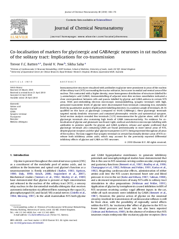 Rat pow essay example 08 picture
