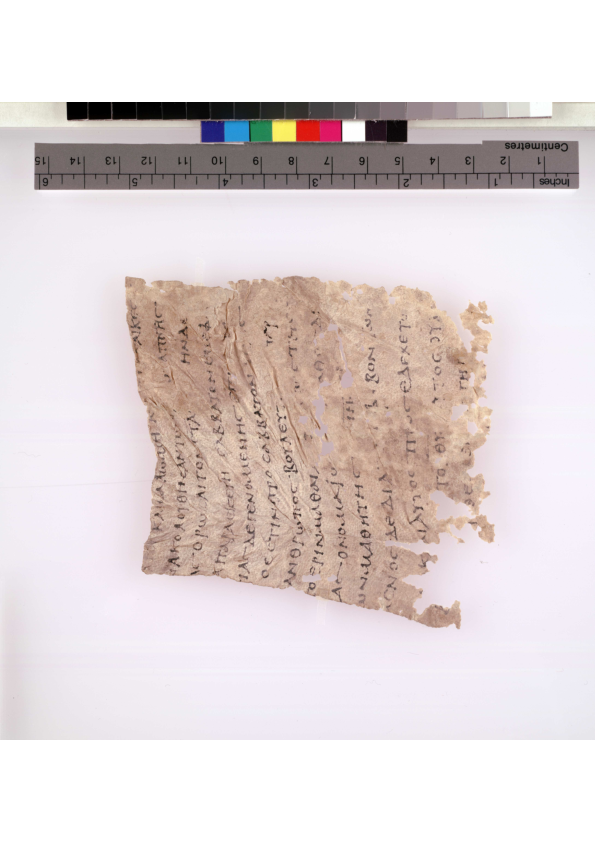 Diatessaron essay picture