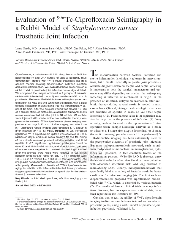 Rabbit essay for class 1 picture