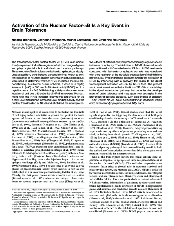 (PDF) Activation of the nuclear factor-kappaB is a key event in brain ...