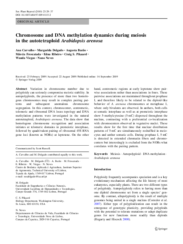 (PDF) Chromosome and DNA methylation dynamics during meiosis in the ...
