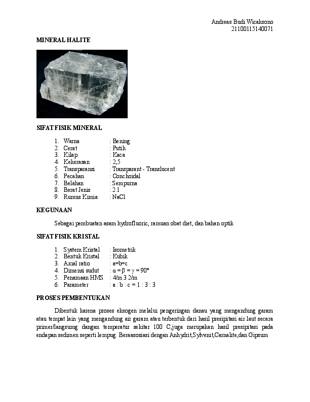 (DOC) HALITE