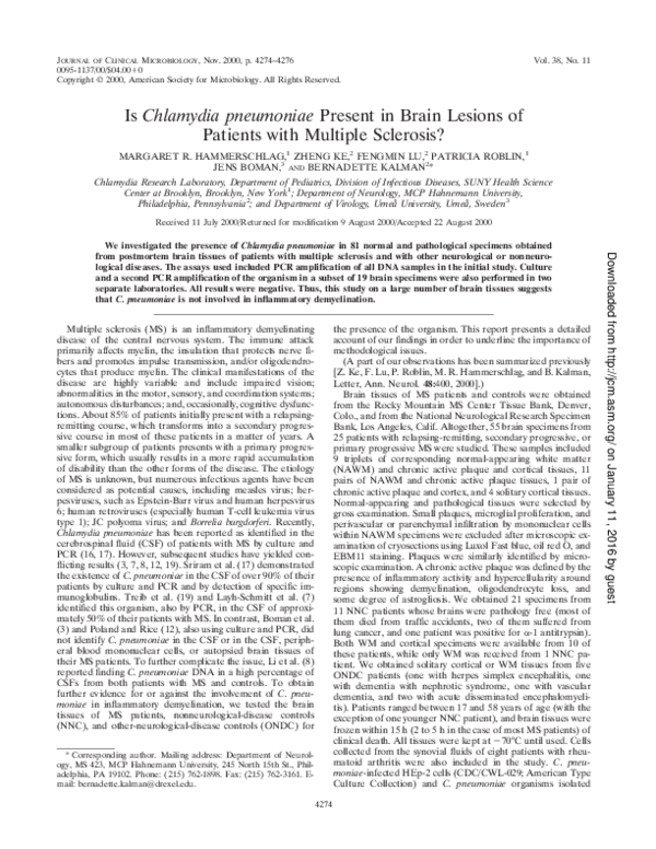  PDF Is Chlamydia Pneumoniae Present In Brain Lesions Of Patients With 