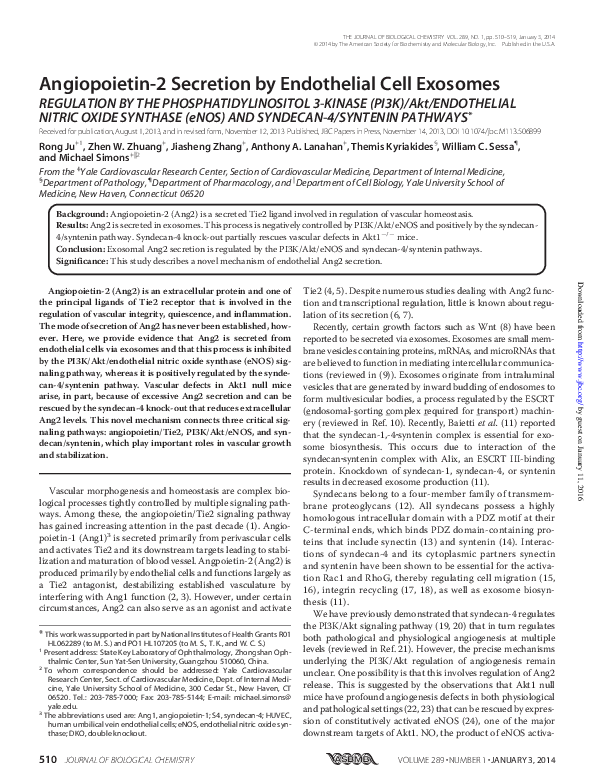 (PDF) Angiopoietin-2 Secretion by Endothelial Cell Exosomes: REGULATION ...