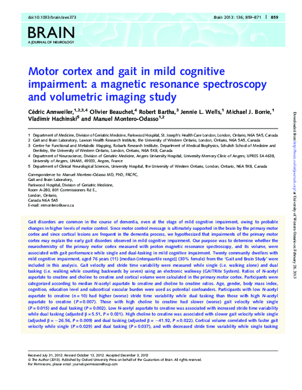 (PDF) Motor cortex and gait in mild cognitive impairment: a magnetic ...