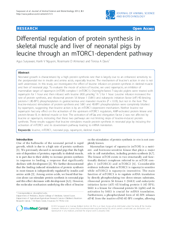 (PDF) Differential regulation of protein synthesis in skeletal muscle ...