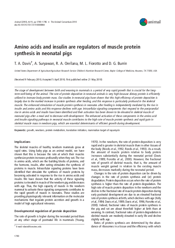 (PDF) Amino acids and insulin are regulators of muscle protein ...