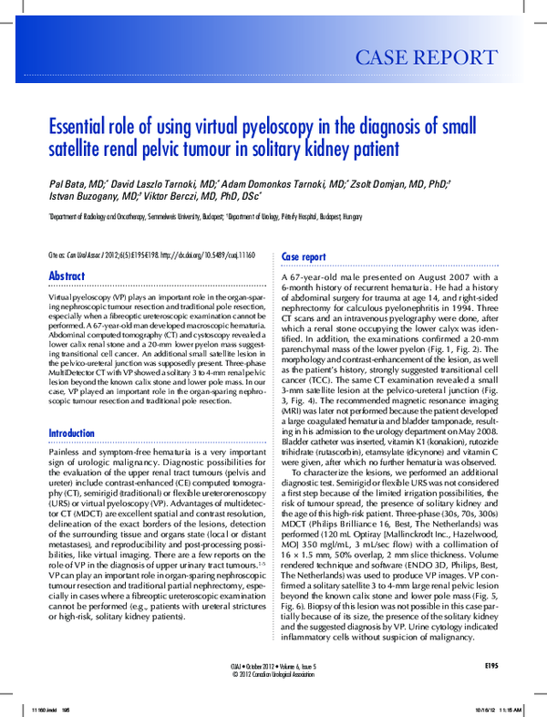 (PDF) Essential role of using virtual pyeloscopy in the diagnosis of ...