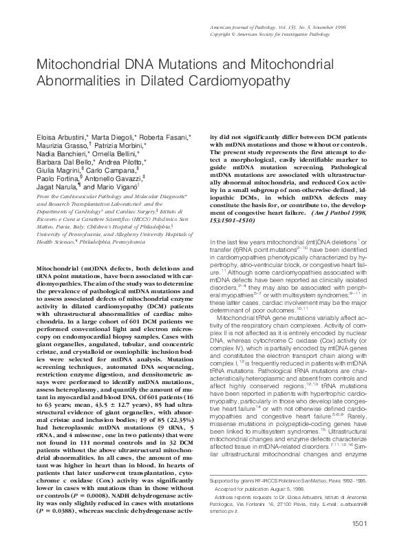 (PDF) Mitochondrial DNA Mutations and Mitochondrial Abnormalities in ...