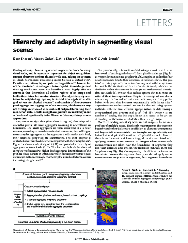 (PDF) Hierarchy and adaptivity in segmenting visual scenes