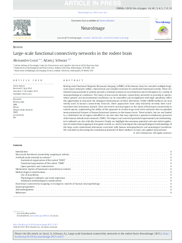 (PDF) Large-scale functional connectivity networks in the rodent brain
