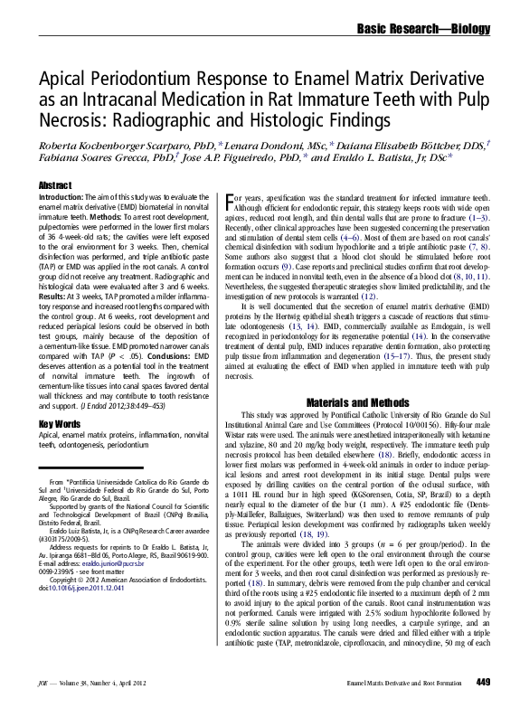 (PDF) Apical periodontium response to enamel matrix derivative as an