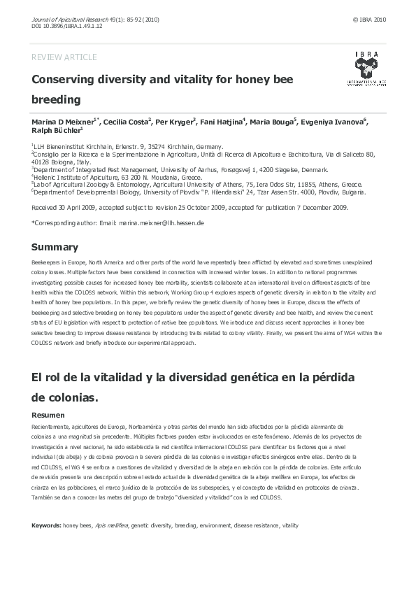 Research paper on bees picture