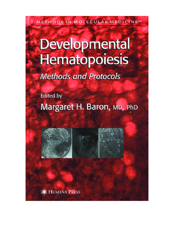 (PDF) Expansion and Differentiation of Immature Mouse and Human ...