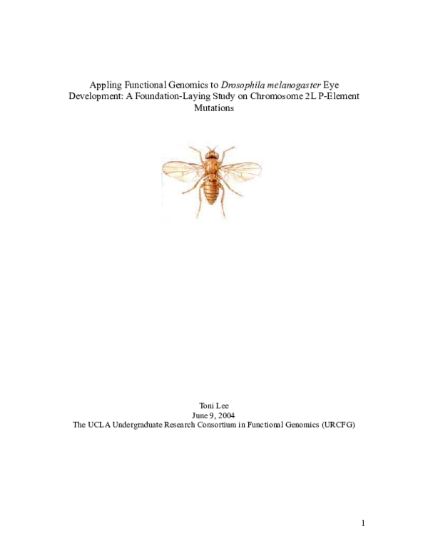 (PDF) Appling Functional Genomics to Drosophila melanogaster Eye ...